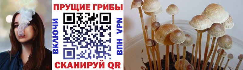 Галлюциногенные грибы прущие грибы Белый